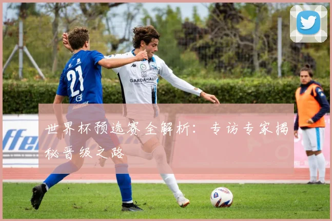世界杯预选赛全解析：专访专家揭秘晋级之路