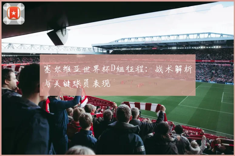 塞尔维亚世界杯D组征程：战术解析与关键球员表现