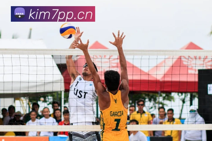 App Interface Preview