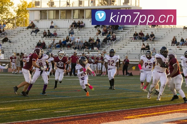 世界杯官方合作网站APP 封面图